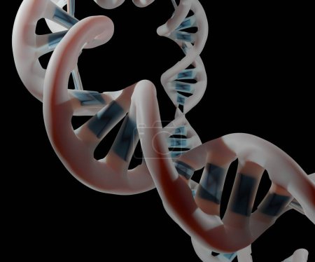 Foto de Un plásmido es una pequeña molécula circular de ADN que se encuentra en bacterias y algunos otros organismos microscópicos. - Imagen libre de derechos