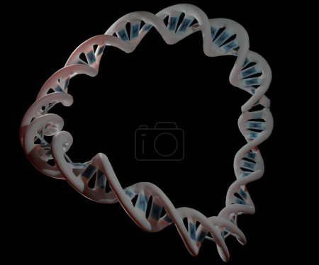 Photo for A plasmid is a small circular DNA molecule found in bacteria and some other microscopic organisms - Royalty Free Image