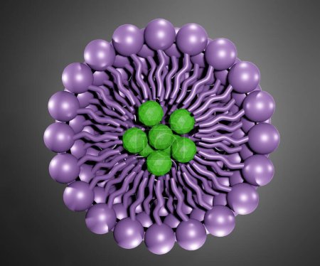 Micelle isolée contient de la nanomédecine comme système d'administration de médicaments rendu 3d