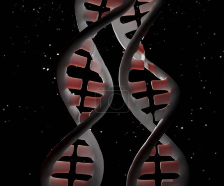 Photo for Transmutation of two dna strands 3d rendering - Royalty Free Image