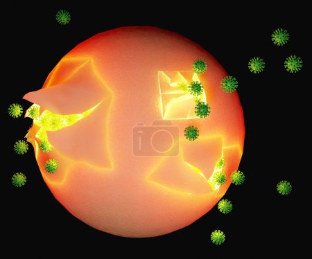 Téléchargez les photos : Virus explose et détruit le rendu 3D de la cellule vivante - en image libre de droit