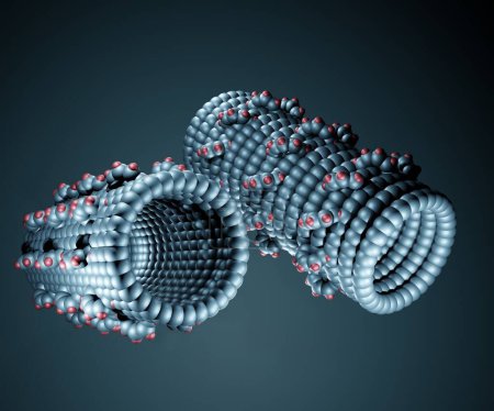 Foto de Isolated Fullerene Nano-gears with multiple teeth 3d rendering - Imagen libre de derechos