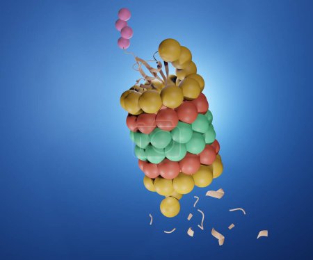 Téléchargez les photos : Protéasome isolé avec protéine conjuguée à l'ubiquitine rendu 3d - en image libre de droit