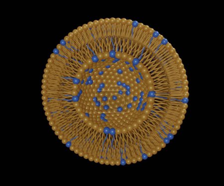 Photo for Transferosomes structure are vesicular carrier systems that enclosed by a lipid bilayer, together with an edge activator 3d rendering - Royalty Free Image