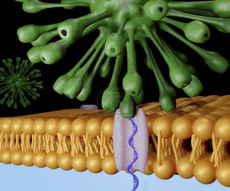 Téléchargez les photos : Transfert d'ADN par le virus à travers membrane bicouche lipidique rendu 3d - en image libre de droit