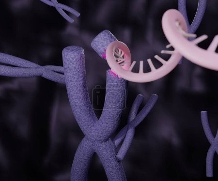Foto de RNA inside of x chromosome. Human genetic research 3d rendering - Imagen libre de derechos