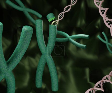 Téléchargez les photos : DNA inside of x chromosome. DNA strands and chromosome. Human genetic research 3d rendering - en image libre de droit