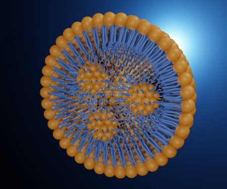 Téléchargez les photos : Isolated lipid nanoparticle for drug delivery without cholesterol 3d rendering - en image libre de droit