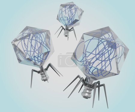 Téléchargez les photos : Podoviridae is a family of bacteriophage often associated with T7 like phages 3d rendering - en image libre de droit