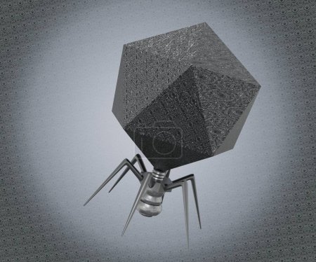 Foto de Podoviridae is a family of bacteriophage often associated with T7 like phages 3d rendering - Imagen libre de derechos
