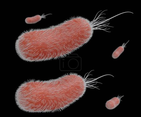 Téléchargez les photos : Isolated Pseudomonas aeruginosa is a common encapsulated, rod-shaped bacterium that can cause disease in plants and animals, including humans 3d rendering - en image libre de droit