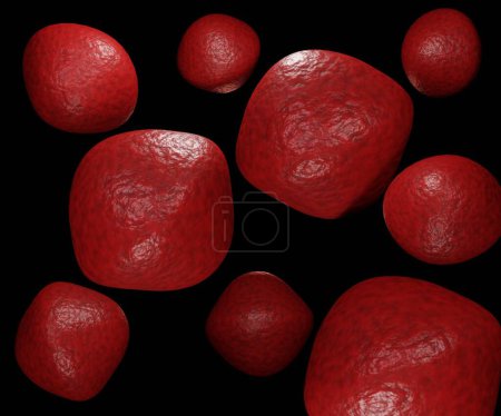 Foto de Isolated swollen erythrocyte. Macrocytic anemia 3d rendering - Imagen libre de derechos