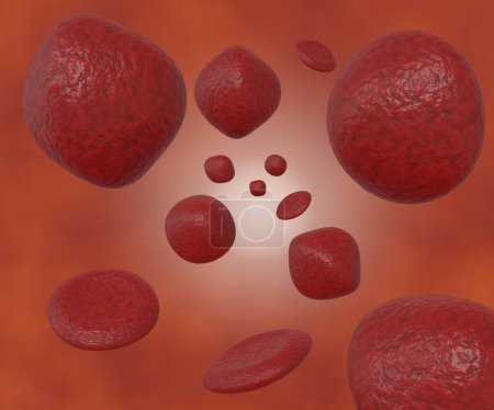 Isolated swollen erythrocyte. Macrocytic anemia 3d rendering