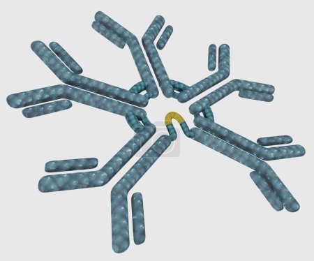 Téléchargez les photos : The Redefined Structure of Antibody IgM. Isolated new structure of immunoglobulin M 3d rendering - en image libre de droit