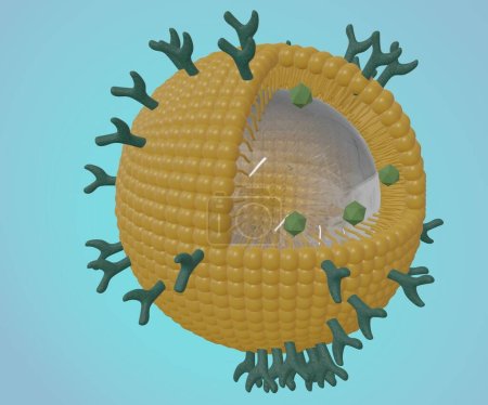 Foto de Phospholipid coated nanobubble for drug delivery 3d rendering - Imagen libre de derechos