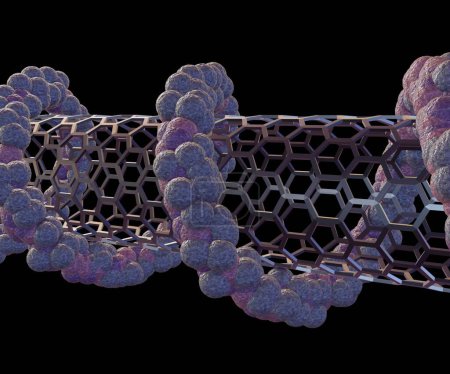 Photo for Isolated DNA strands wrapped around carbon nanotubes. Helical molecules such behave as an efficient source and detector of spin polarized charge carrier 3d rendering - Royalty Free Image