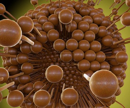Les liposomes peuvent éclater ou être décomposés pour libérer des nanomédicaments ou nanomédecine rendu 3d