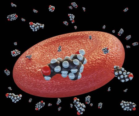 Foto de Steroid molecules in the blood vessel with red blood cells 3d rendering - Imagen libre de derechos