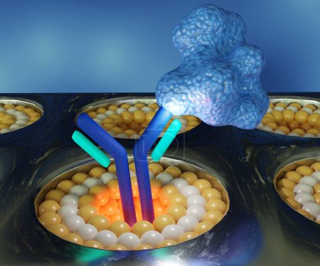 Photo for Proteins as analytes conjugate on antibody molecule or receptor flow through metal film nanoholes of opto-fluidic biosensor 3d rendering - Royalty Free Image