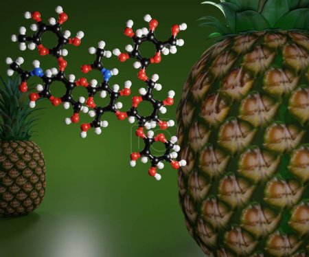 Bromelain in pineapple is a type of enzyme known as a protease, which breaks other proteins apart by cutting the chains of amino acids 3d rendering