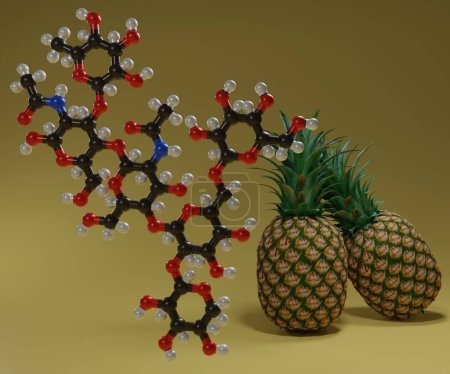 Bromelain in pineapple is a type of enzyme known as a protease, which breaks other proteins apart by cutting the chains of amino acids 3d rendering
