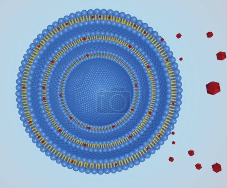 Foto de Vesícula multilaminar aislada con molécula de nanofármacos hidrofóbicos dispersos. Vista de cerca 3d renderizado - Imagen libre de derechos