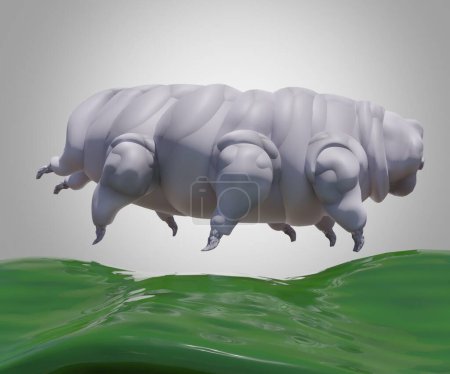 Téléchargez les photos : Les tardigrades connus sous le nom d'ours d'eau ou de porcelets de mousse sont un phylum de micro-animaux segmentés à huit pattes isolés par équarrissage 3D. - en image libre de droit