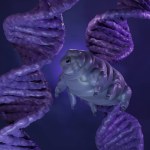Tardigrade or water bear with DNA stands molecule ...