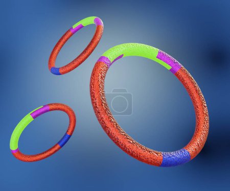 Photo for Recombinant plasmid formation involves construction of rDNA, in which a foreign DNA fragment is inserted into a plasmid 3d rendering - Royalty Free Image