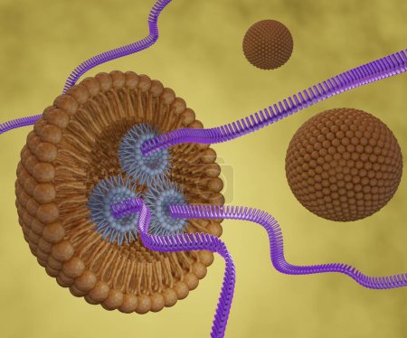 Foto de Filamentos de ARN o pequeños ARN interferentes o entrega de siARN, ARNm o CRISPR mediada por nanopartículas a base de lípidos 3d rendering - Imagen libre de derechos