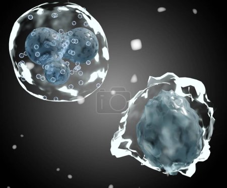 Foto de Leucocitos y glóbulos blancos basófilos en el fondo negro 3d renderizado - Imagen libre de derechos