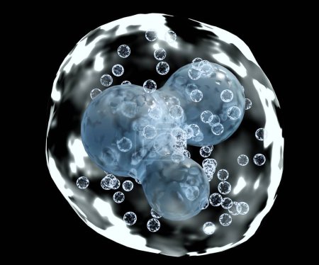 Foto de Un único basófilo glóbulos blancos en el fondo negro 3d representación - Imagen libre de derechos