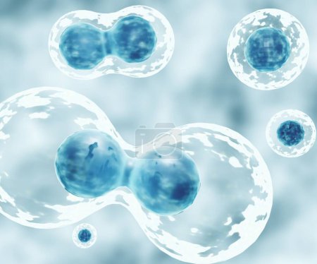 Zellteilung erfolgt, wenn sich eine Stammzelle in zwei oder mehr Zellen teilt, die Tochterzellen genannt werden 3D-Rendering