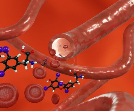 Photo for Thyroxine or t4 hormone molecule and red blood cells inside of blood vessel 3D rendering - Royalty Free Image