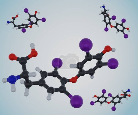 Photo for One of hormone produced by the thyroid gland is thyroxine or t4 3D rendering - Royalty Free Image