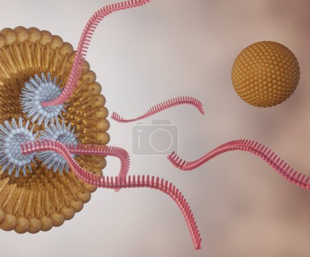 Photo for RNA strands or small interfering RNA or siRNA, mRNA or CRISPR delivery mediated by lipid-based nanoparticles 3d rendering - Royalty Free Image