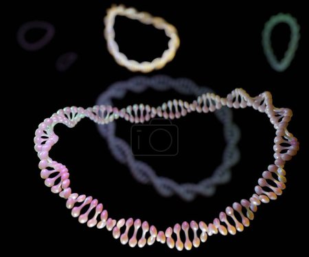 Foto de Plásmidos múltiples del ADN dentro de la representación 3d de la bacteria - Imagen libre de derechos