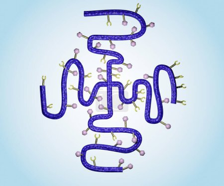 Polymer-Wirkstoff-Konjugate sind Wirkstoffmoleküle, die in Polymermolekülen gehalten werden und als Trägersystem für das Arzneimittel 3D-Rendering fungieren