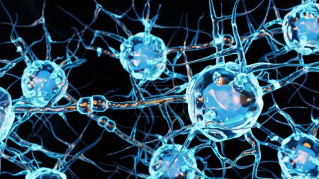 Téléchargez les photos : Un neurone ou une cellule nerveuse est une cellule électriquement excitable. Il communique avec d'autres cellules via des synapses de rendu 3d - en image libre de droit