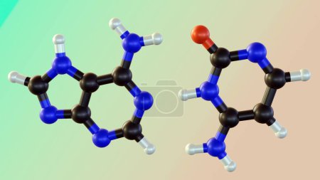 Photo for Isolated cytosine pairs with guanine molecules are found in DNA 3d rendering - Royalty Free Image