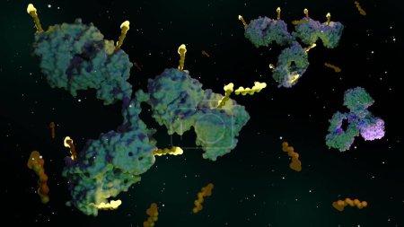 Foto de Antibody drug conjugates (ADCs) are targeted medicines that deliver chemotherapy agents to cancer cells 3d rendering - Imagen libre de derechos
