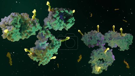 Photo for Antibody drug conjugates (ADCs) are targeted medicines that deliver chemotherapy agents to cancer cells 3d rendering - Royalty Free Image