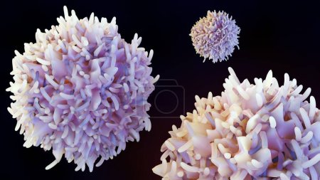 Téléchargez les photos : Globules blancs appelés lymphocytes, qui font partie du système immunitaire du corps. Les cellules B aident normalement à protéger le corps contre les germes en faisant des protéines appelées anticorps rendu 3d - en image libre de droit