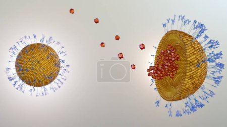 Photo for Antibody-modified liposomes, immuno-liposomes, can deliver encapsulated drugs to cells via the interaction of cell surface proteins with antibodies 3d rendering - Royalty Free Image
