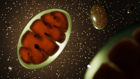 Foto de Cerca de mitocondrias con fondo fuera de foco 3d renderización - Imagen libre de derechos