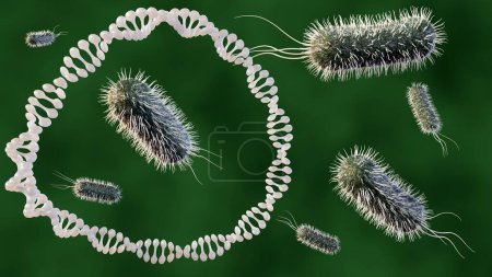 Téléchargez les photos : Plasmide circulaire ADN et bactéries Escherichia coli rendu 3d - en image libre de droit