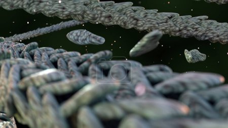 Foto de El citoesqueleto de actina es esencial para mantener la forma y estructura de las células, y permitir la migración celular, renderizado 3D - Imagen libre de derechos
