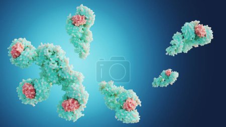 Téléchargez les photos : Le rendu 3D de la molécule apoptosomique humaine en formation contient sept molécules Apaf-1 disposées symétriquement dans une structure en forme de roue pour former un moyeu central - en image libre de droit