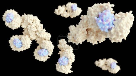 Photo for 3D rendering of forming human apoptosome molecule contains seven Apaf-1 molecules symmetrically arranged in a wheel-shaped structure to form a central hub - Royalty Free Image