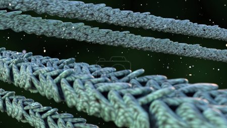 Foto de El citoesqueleto de actina es esencial para mantener la forma y estructura de las células, y permitir la migración celular, renderizado 3D - Imagen libre de derechos